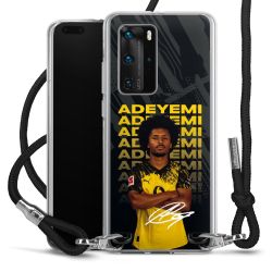 Carry Case Fabric black/silver