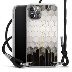 Carry Case Transparent Fabric black/silver