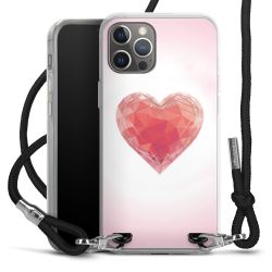 Carry Case Transparent Fabric black/silver