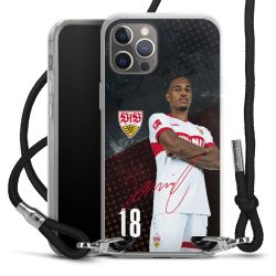 Carry Case Stoff schwarz/silber