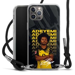 Carry Case Fabric black/silver