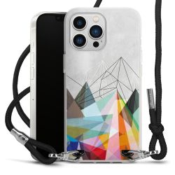 Carry Case Transparent Fabric black/silver