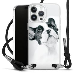 Carry Case Transparent Fabric black/silver