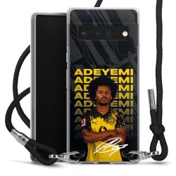 Carry Case Fabric black/silver