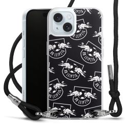 Carry Case Transparent Fabric black/silver