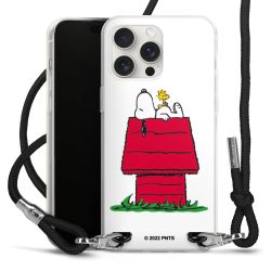 Snoopy and Woodstock Klassiek