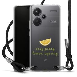 Carry Case Fabric black/silver
