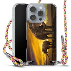 Carry Case Fabric colourful