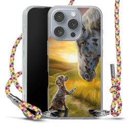 Carry Case Fabric colourful