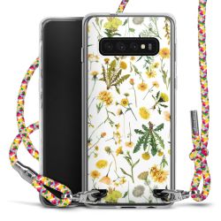 Carry Case Transparent Fabric colourful