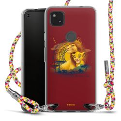 Carry Case Fabric colourful