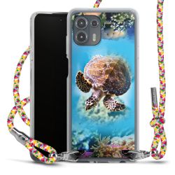 Carry Case Fabric colourful