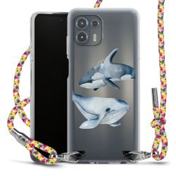 Carry Case Fabric colourful