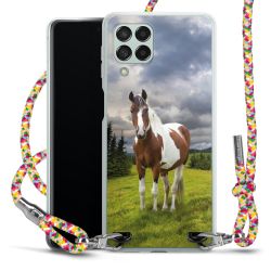 Carry Case Fabric colourful