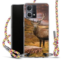 Carry Case Fabric colourful