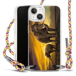 Carry Case Fabric colourful