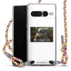 New Carry Case Transparent Stoff colourful/silber