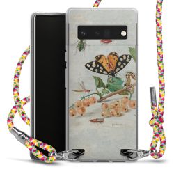 Carry Case Transparent Fabric colourful