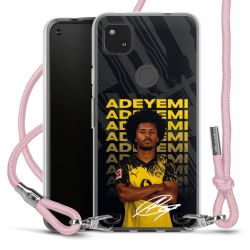 Carry Case Fabric pink