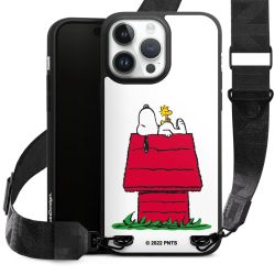 Snoopy & Woodstock