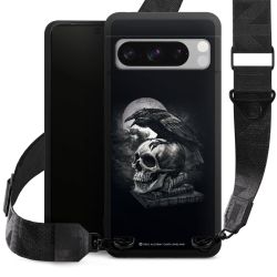 Poe's Raven