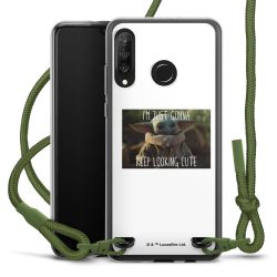 New Carry Case Transparent Stoff oliv