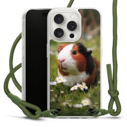 Carry Case fabric olive