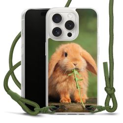 New Carry Case Transparent Stoff oliv