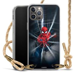 Spider-Man Webs In Action