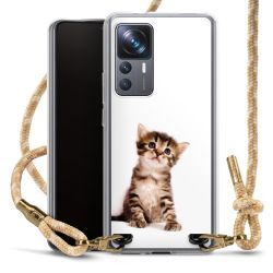 Carry Case Fabric sahara sand