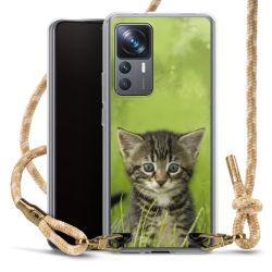 Carry Case Fabric sahara sand