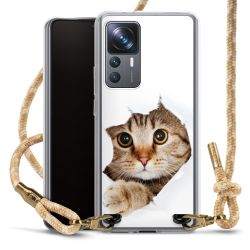 Carry Case Fabric sahara sand