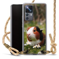 Carry Case Fabric sahara sand