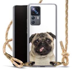 Carry Case Fabric sahara sand