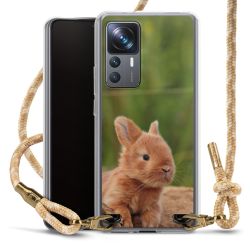 Carry Case Fabric sahara sand