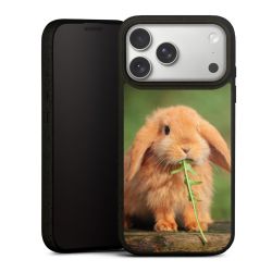 Organic Case schwarz