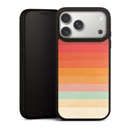 Regenboog Chevrons II