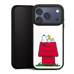 Snoopy and Woodstock Klassisch