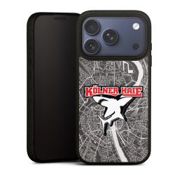 Kölner Haie City