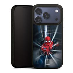 Toile Spider-Man