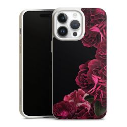 Rose vintage su nero