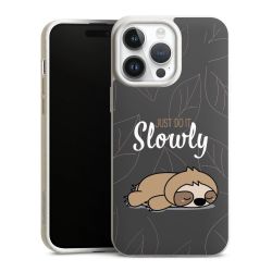 Just Do It Slowly Sloth Grey