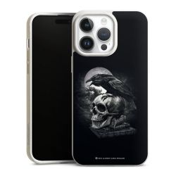 Poe's Raven