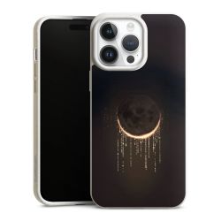 Verduistering