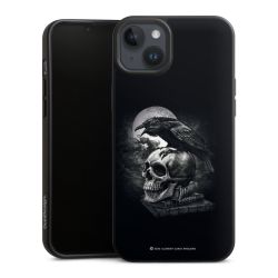 Poe's Raven