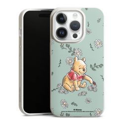 Winnie the Pooh Daisy and Bug Love