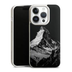 Sneeuw bedekte bergen