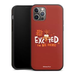 Organic Case schwarz