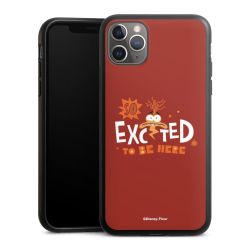 Organic Case schwarz