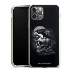 Poe's Raven